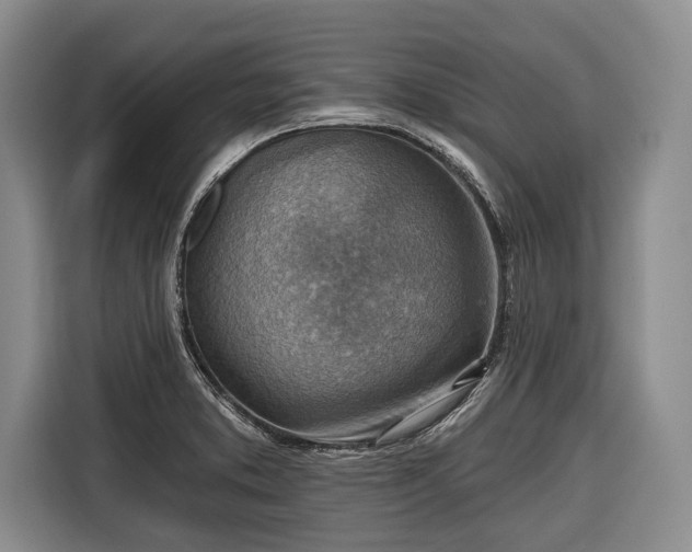 X0000116671373200912211555