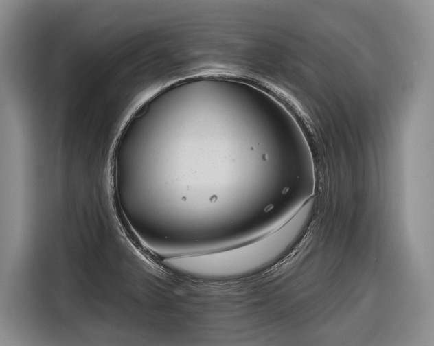 X0000116671375200912211555