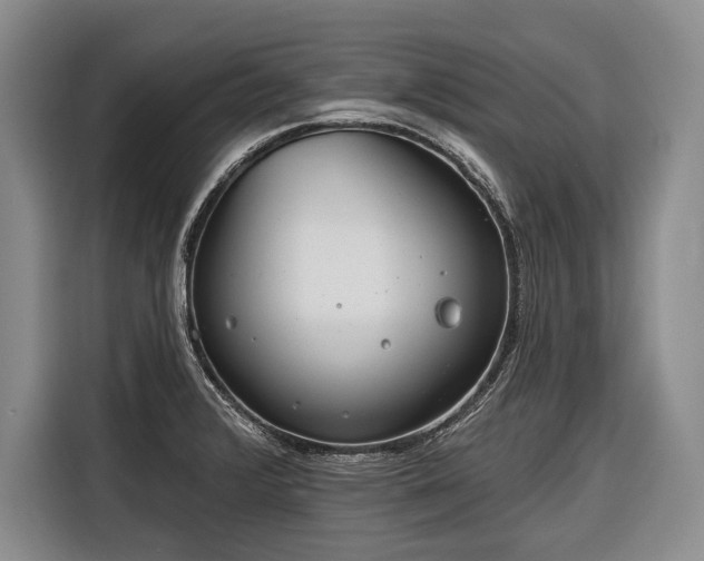 X0000116671376200912211555