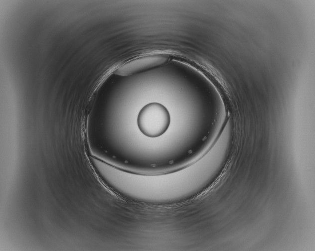 X0000116671377200912211555