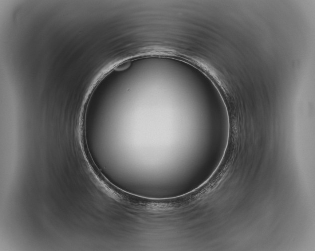 X0000116671379200912211555