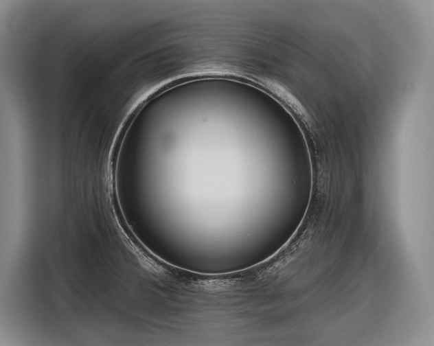 X0000116671380200912211555