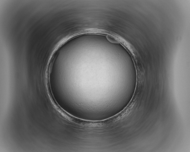 X0000116671381200912211555