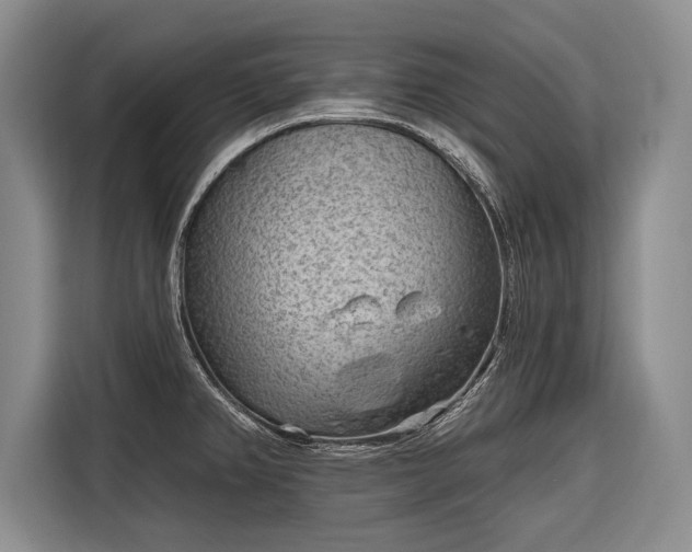 X0000116671382200912211555