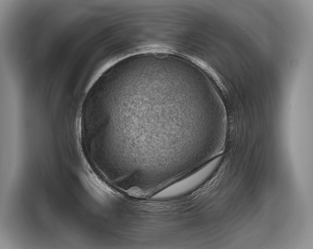 X0000116671383200912211555