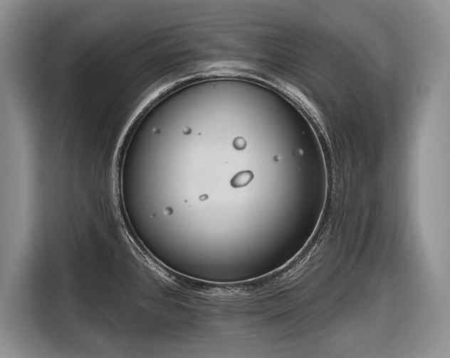 X0000116671384200912211555