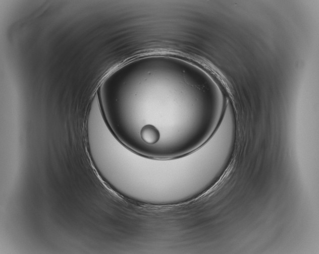 X0000116671385200912211555