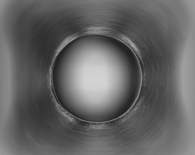 X0000116671386200912211555