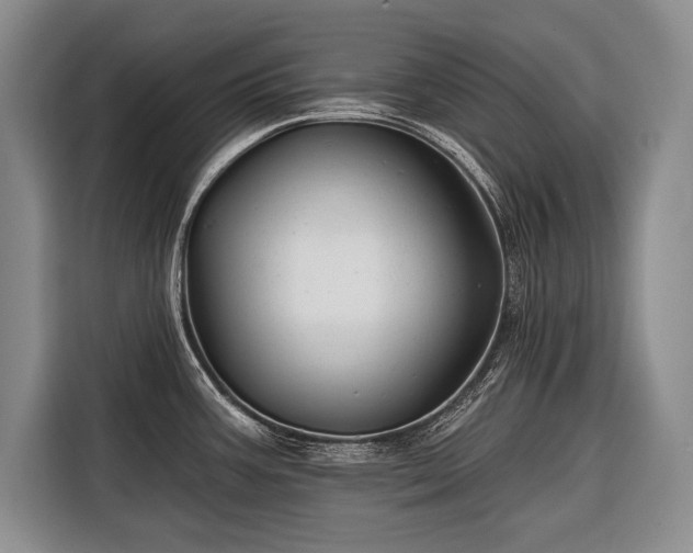 X0000116671387200912211555