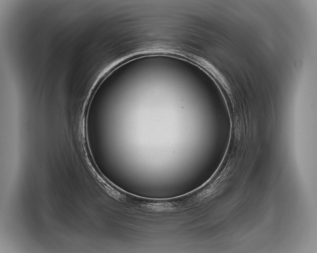 X0000116671388200912211555