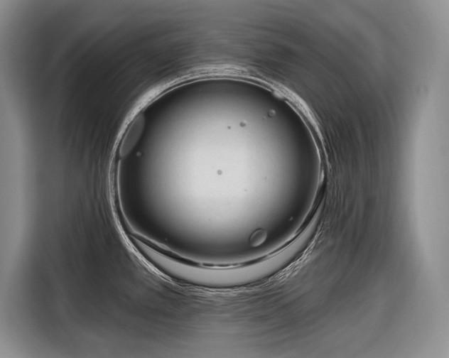 X0000116671389200912211555