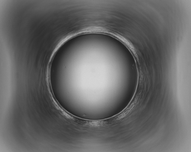 X0000116671390200912211555