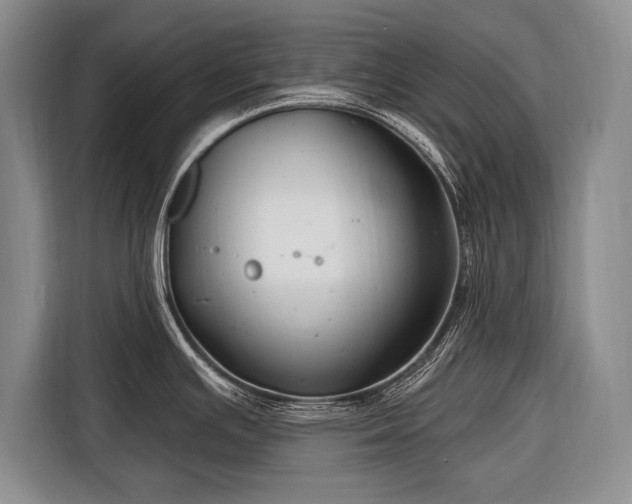 X0000116671391200912211555