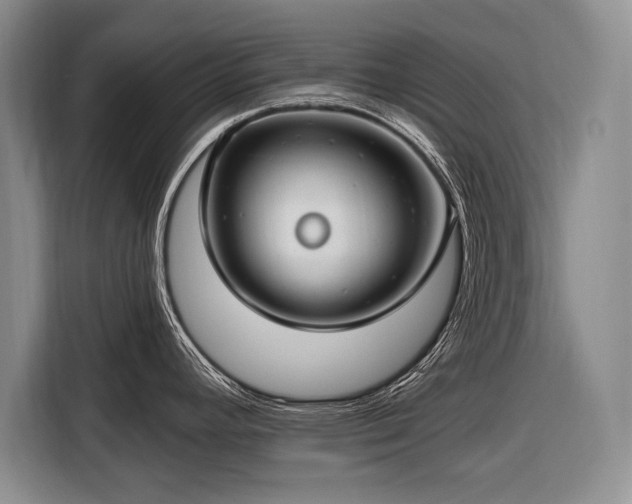 X0000116671392200912211555