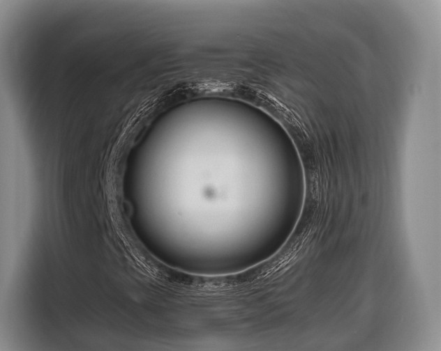 X0000116671393200912211554