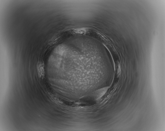 X0000116671394200912211554