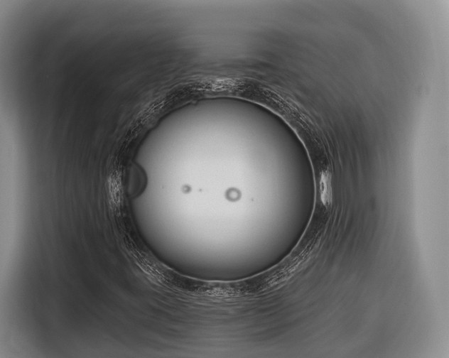 X0000116671395200912211554