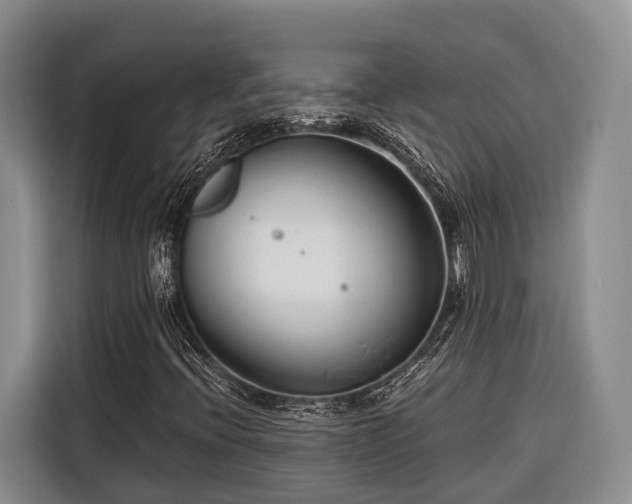 X0000116671396200912211554