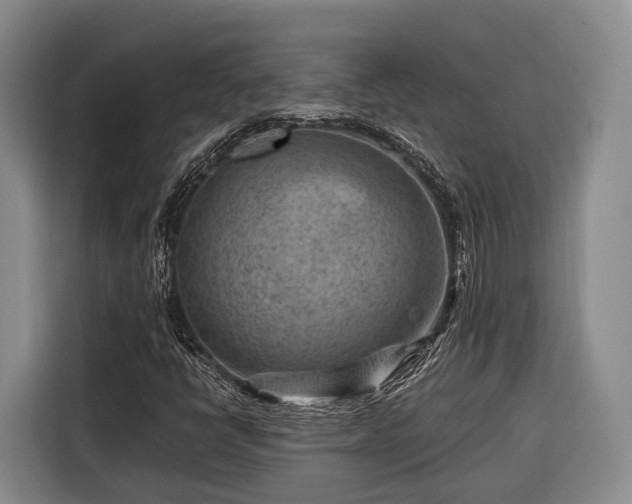 X0000116671398200912211554