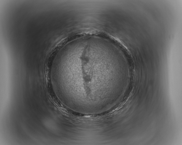 X0000116671399200912211554