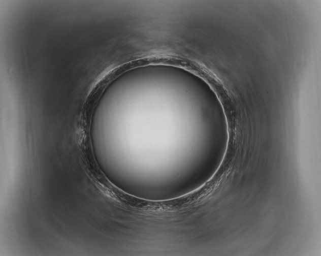 X0000116671400200912211554