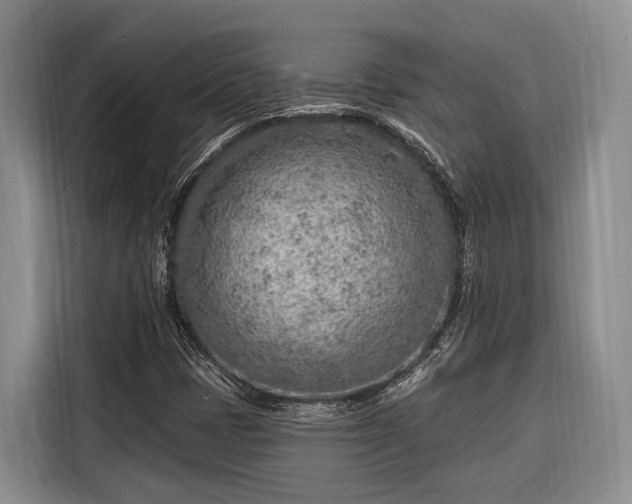 X0000116671401200912211554