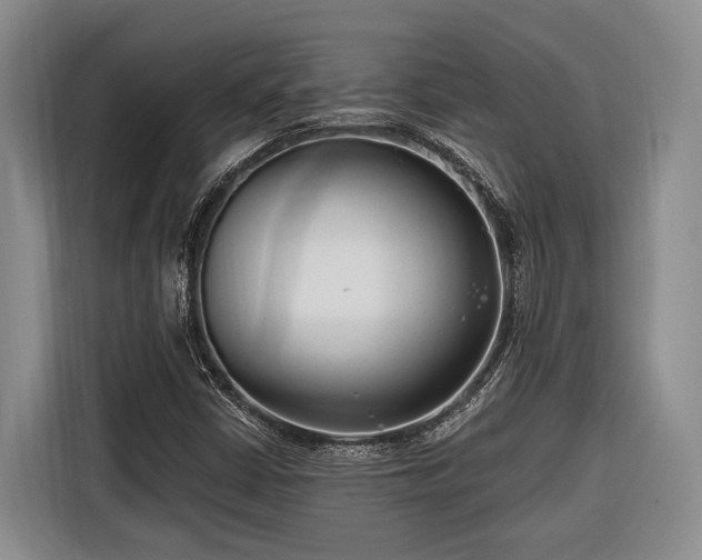 X0000116671402200912211554