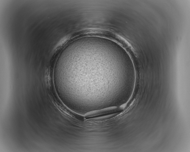 X0000116671403200912211554