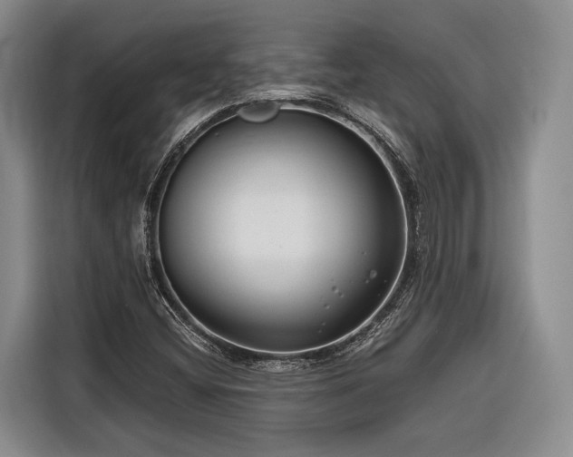 X0000116671404200912211554