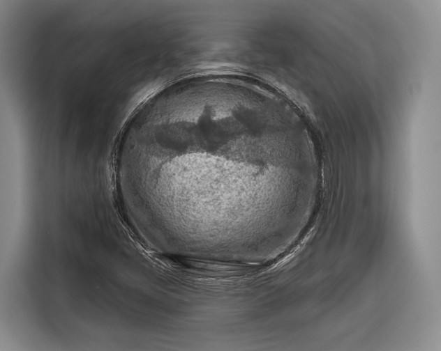 X0000116671405200912211554