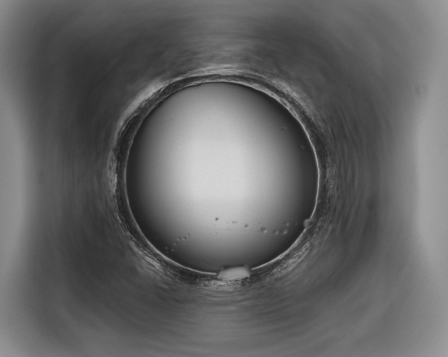 X0000116671406200912211554