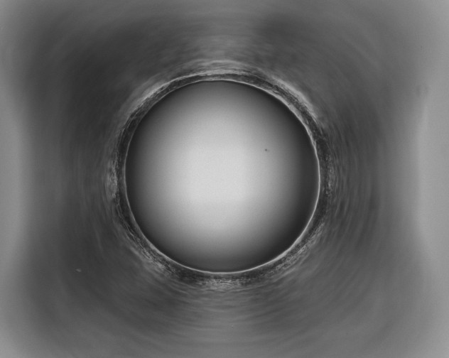 X0000116671407200912211554