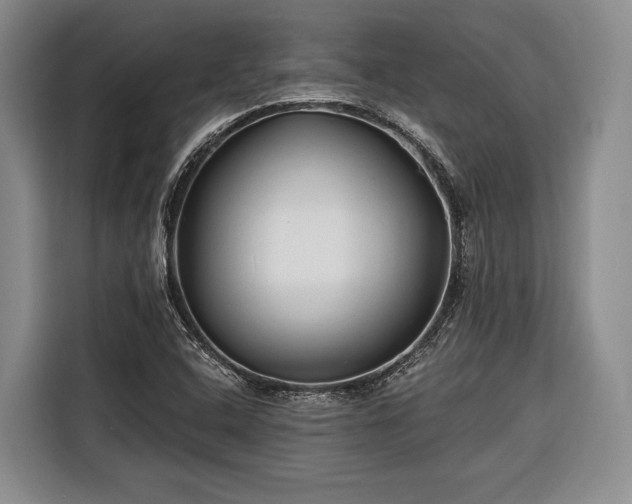 X0000116671408200912211554