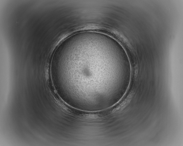 X0000116671409200912211554