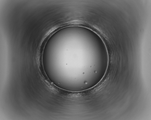 X0000116671410200912211554