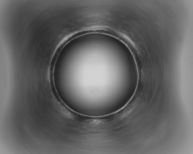 X0000116671412200912211554