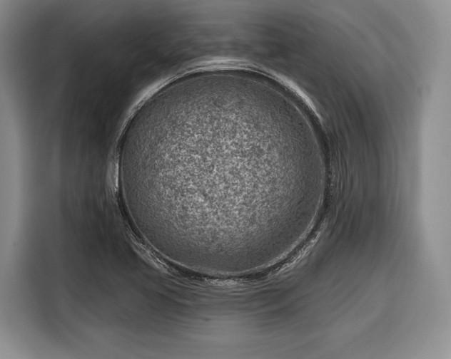 X0000116671413200912211554