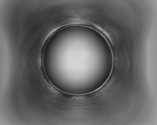 X0000116671415200912211554