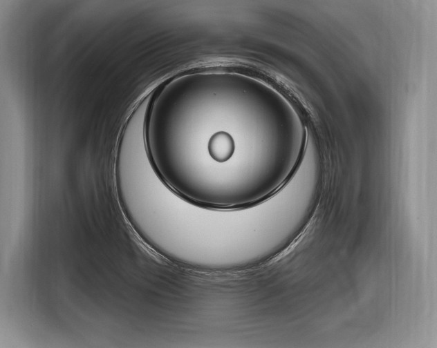 X0000116671417200912211554