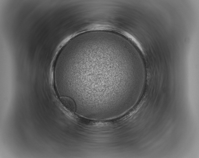 X0000116671419200912211555