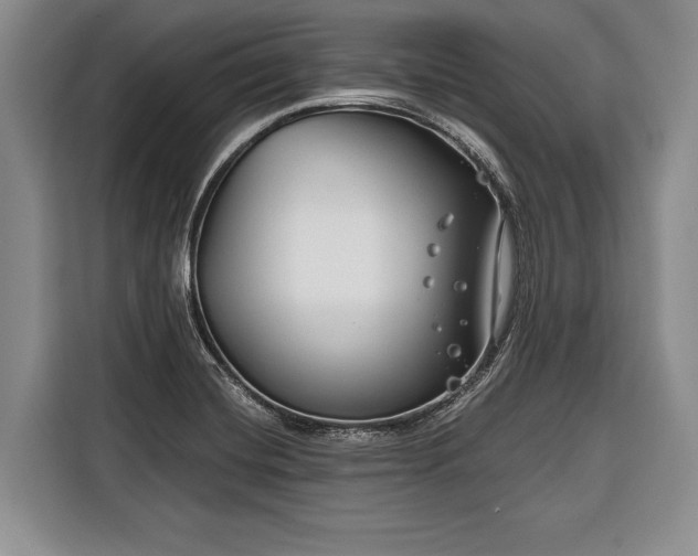 X0000116671420200912211555