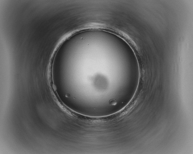 X0000116671421200912211555