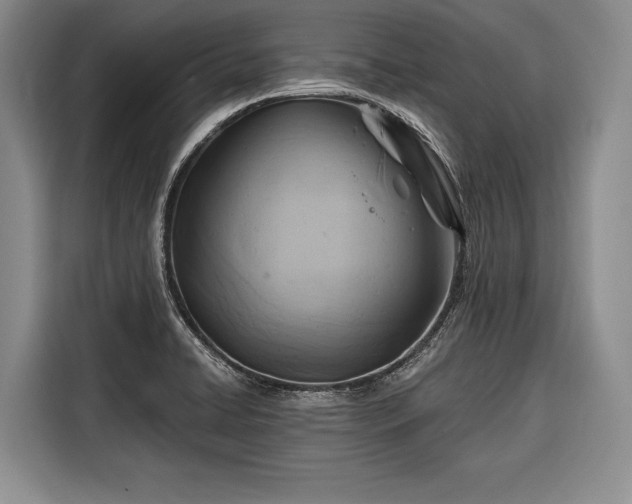 X0000116671422200912211555