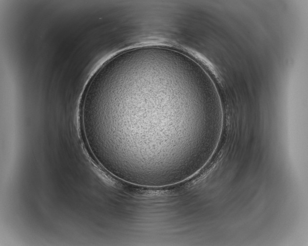 X0000116671423200912211555