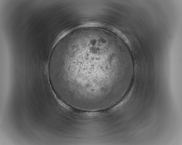 X0000116671425200912211555