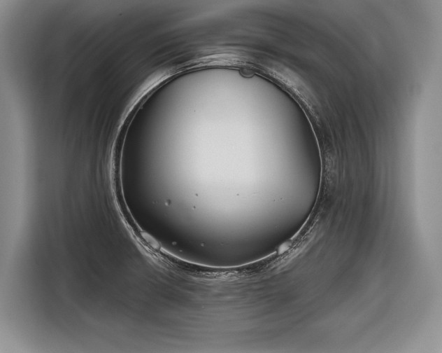 X0000116671426200912211555