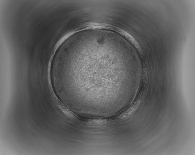 X0000116671427200912211555