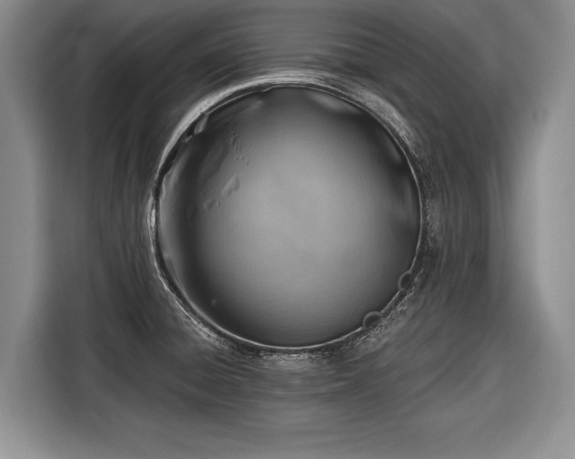 X0000116671428200912211555