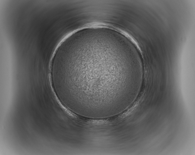 X0000116671429200912211555