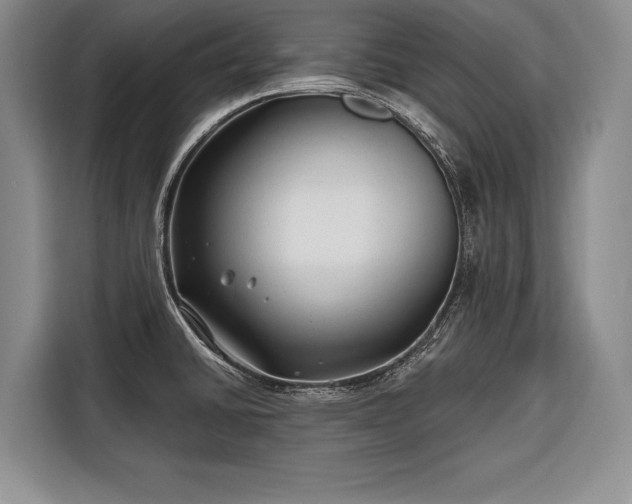 X0000116671430200912211555